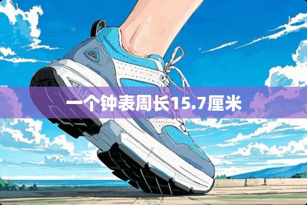 一个钟表周长15.7厘米