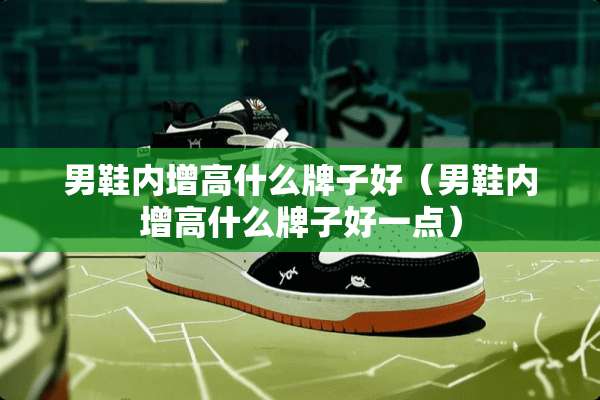 男鞋内增高什么牌子好（男鞋内增高什么牌子好一点）