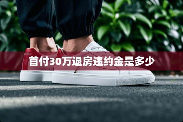 首付30万退房违约金是多少