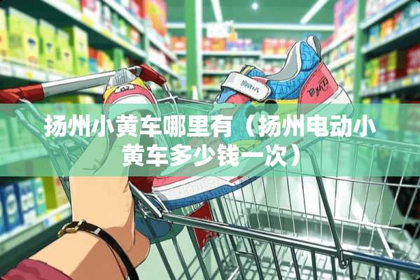 扬州小黄车哪里有（扬州电动小黄车多少钱一次）