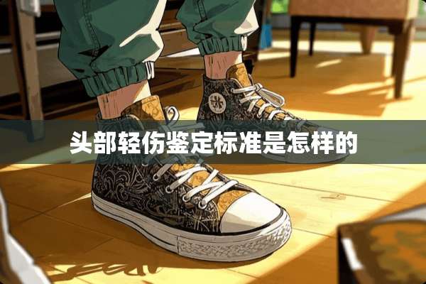 头部轻伤鉴定标准是怎样的