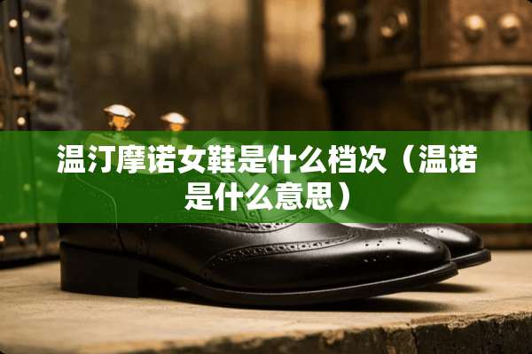 温汀摩诺女鞋是什么档次（温诺是什么意思）