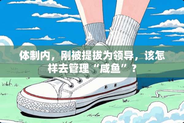 体制内，刚被提拔为领导，该怎样去管理“咸鱼”？