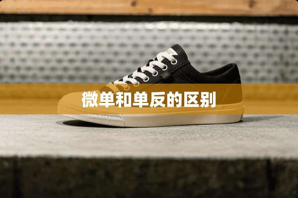 微单和单反的区别
