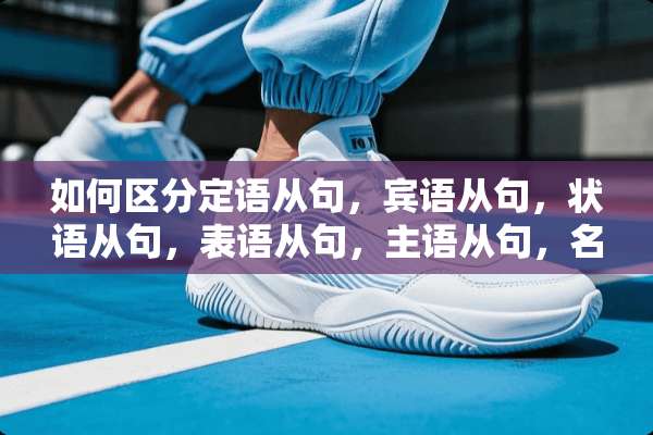 如何区分定语从句，宾语从句，状语从句，表语从句，主语从句，名词性从句（详细的）