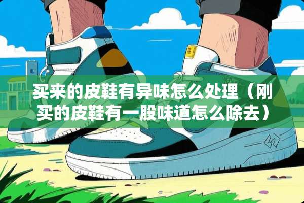 买来的皮鞋有异味怎么处理（刚买的皮鞋有一股味道怎么除去）