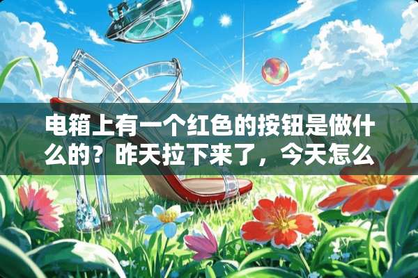 电箱上有一个红色的按钮是做什么的？昨天拉下来了，今天怎么推都推不上去了，怎么办？