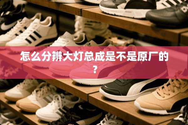 怎么分辨大灯总成是不是原厂的？