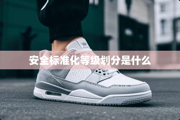 安全标准化等级划分是什么