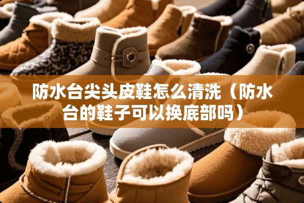 防水台尖头皮鞋怎么清洗（防水台的鞋子可以换底部吗）