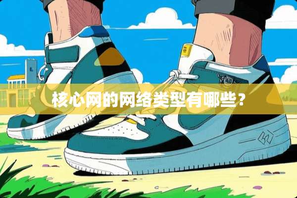 核心网的网络类型有哪些？