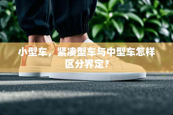 小型车，紧凑型车与中型车怎样区分界定？