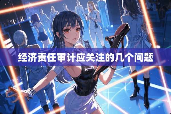 经济责任审计应关注的几个问题