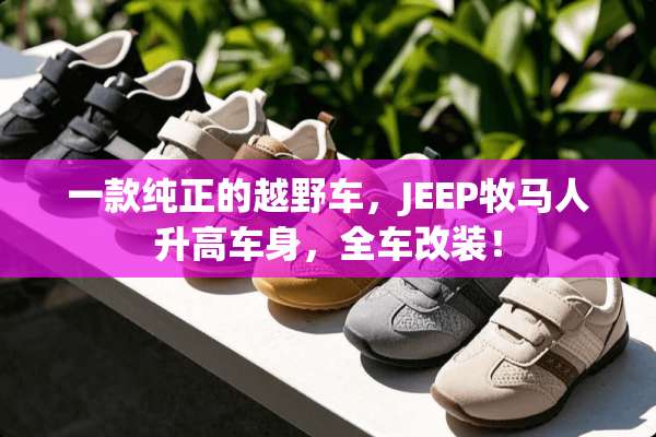 一款纯正的越野车，JEEP牧马人升高车身，全车改装！