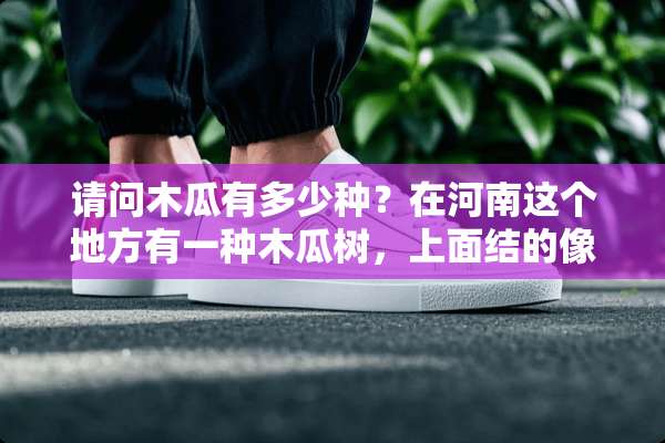 请问木瓜有多少种？在河南这个地方有一种木瓜树，上面结的像大梨一样的木瓜能食用吗？