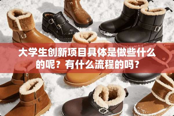 大学生创新项目具体是做些什么的呢？有什么流程的吗？