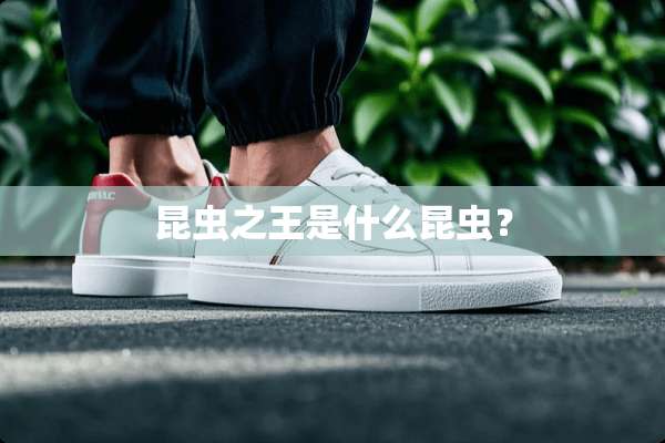 昆虫之王是什么昆虫？