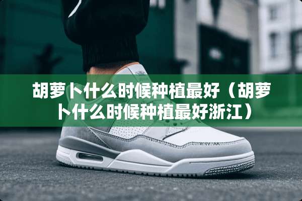 胡萝卜什么时候种植最好（胡萝卜什么时候种植最好浙江）