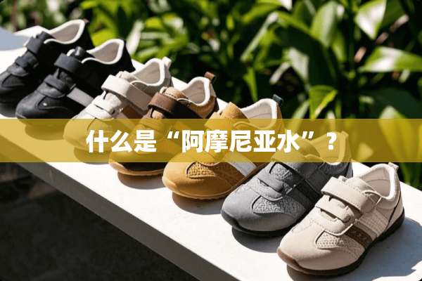 什么是“阿摩尼亚水”？