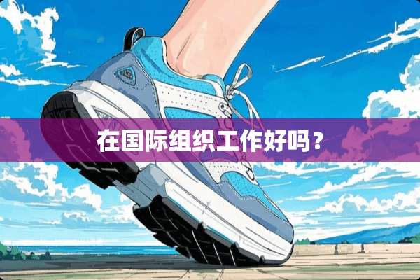 在国际组织工作好吗？