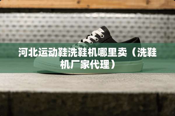 河北运动鞋洗鞋机哪里卖（洗鞋机厂家代理）