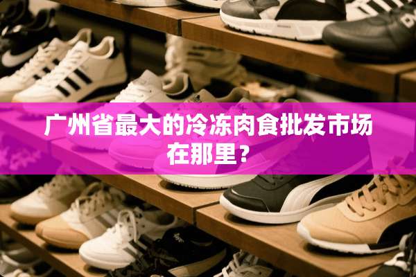 广州省最大的冷冻肉食批发市场在那里？