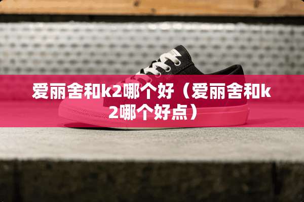 爱丽舍和k2哪个好（爱丽舍和k2哪个好点）