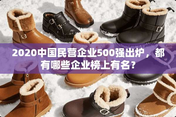 2020中国民营企业500强出炉，都有哪些企业榜上有名？