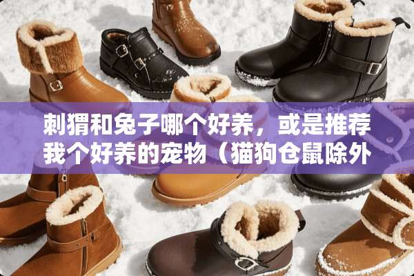 刺猬和兔子哪个好养，或是推荐我个好养的宠物（猫狗仓鼠除外）？