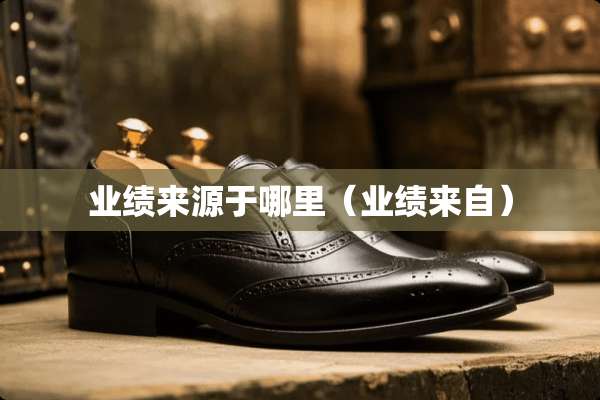 业绩来源于哪里（业绩来自）