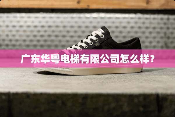 广东华粤电梯有限公司怎么样？