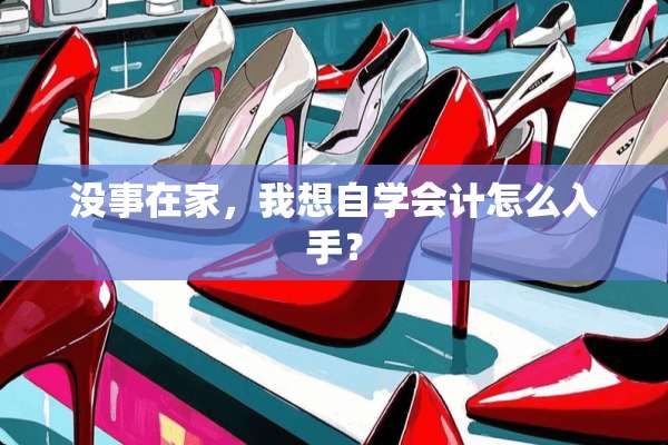 没事在家，我想自学会计怎么入手？