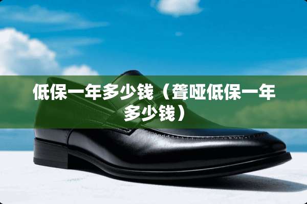 低保一年多少钱（聋哑低保一年多少钱）