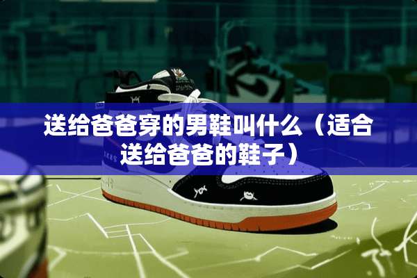 送给爸爸穿的男鞋叫什么（适合送给爸爸的鞋子）