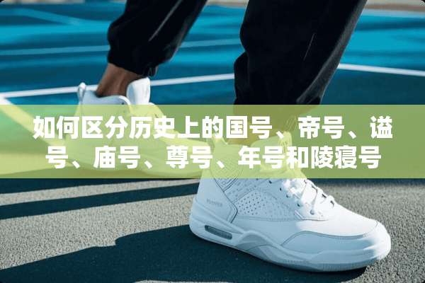 如何区分历史上的国号、帝号、谥号、庙号、尊号、年号和陵寝号？