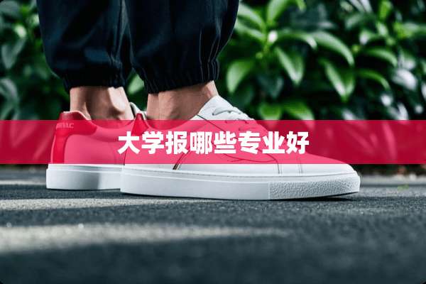 大学报哪些专业好
