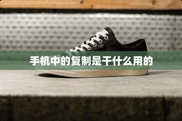 手机中的复制是干什么用的