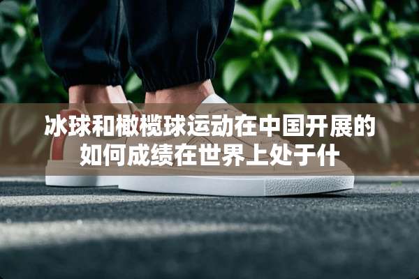 冰球和橄榄球运动在中国开展的如何成绩在世界上处于什