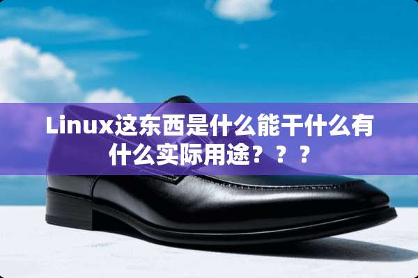 Linux这东西是什么能干什么有什么实际用途？？？