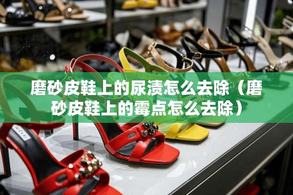 磨砂皮鞋上的尿渍怎么去除（磨砂皮鞋上的霉点怎么去除）