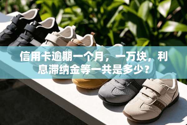 ***逾期一个月，一万块，利息滞纳金等一共是多少？