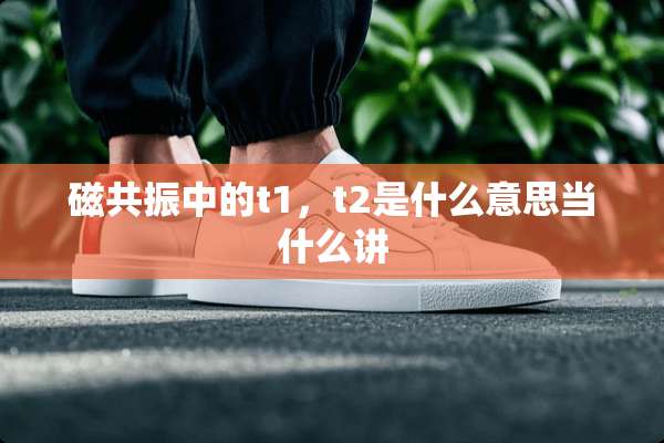磁共振中的t1，t2是什么意思当什么讲