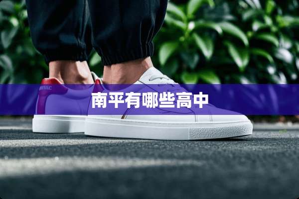 南平有哪些高中