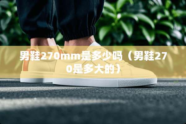 男鞋270mm是多少吗（男鞋270是多大的）