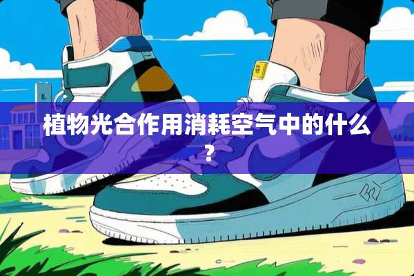 植物光合作用消耗空气中的什么？