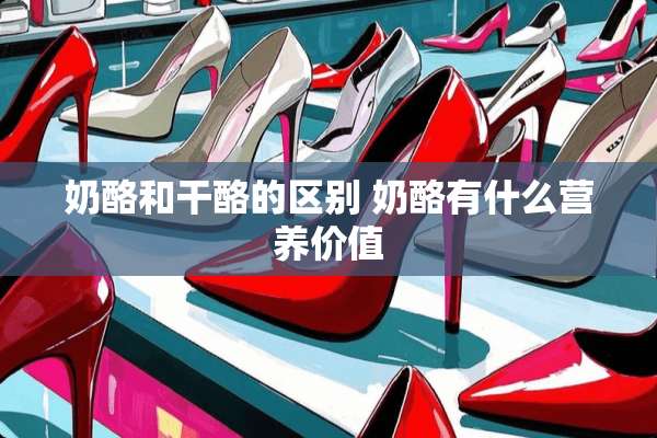奶酪和干酪的区别 奶酪有什么营养价值