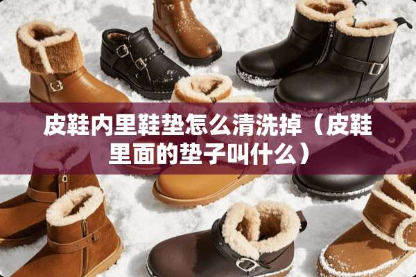 皮鞋内里鞋垫怎么清洗掉（皮鞋里面的垫子叫什么）