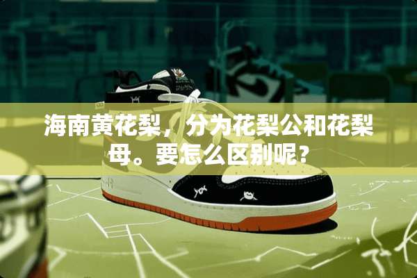 海南黄花梨，分为花梨公和花梨母。要怎么区别呢？