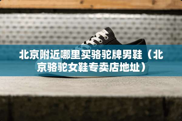 北京附近哪里买骆驼牌男鞋（北京骆驼女鞋专卖店地址）