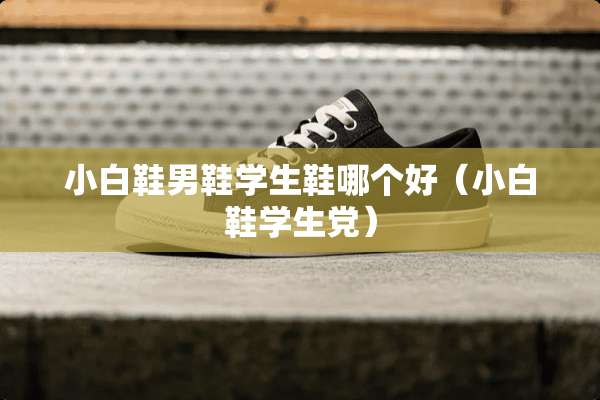 小白鞋男鞋学生鞋哪个好（小白鞋学生*）